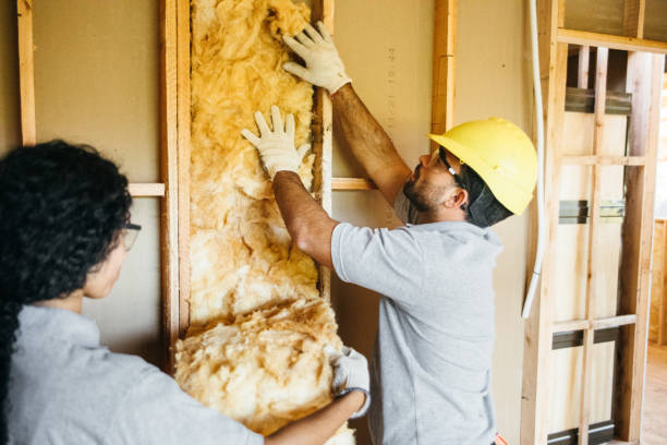 Best Spray Foam Insulation  in Ponderay, ID